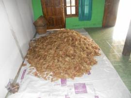 KRUPUK RAJANG PATI ACI